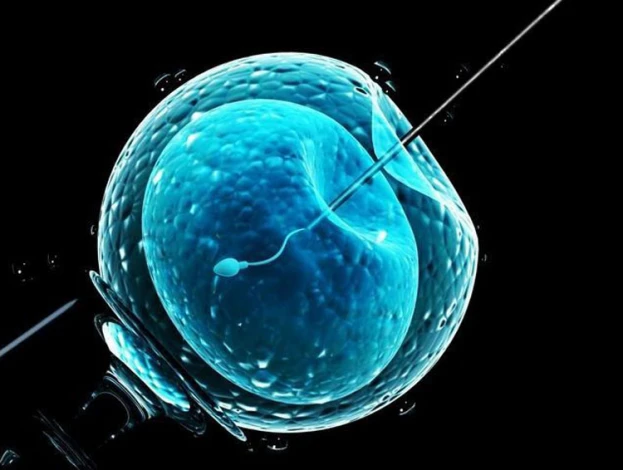 الحقن المجهري، خطواته، أسباب اللجوء إليه ومشاكله.