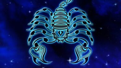 سوف نتحدث في هذا المقال عن برج العقرب، وما هي صفات برج العقرب؟ وما هي أهم المميزات لهذا البرج،  وأيضا سنذكر العيوب لبرج العقرب؟ وسنتطرق لذكر أهم الشخصيات الحاملة لبرج العقرب.