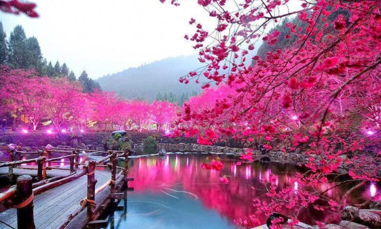 عبارات مؤثرة عن الحياة