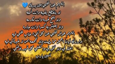 حالات واتس اب جديدة عن يوم الجمعة