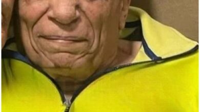 إعتزال الزعيم عادل إمام تثير ضجة كبيرة 1 إعتزال الزعيم عادل إمام شائعات لاصحة لها