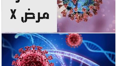 ماهو المرض X ، وماعلاقته بفيروس كورونا