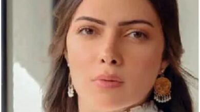 من هي وئام مجدي ، معلومات عامة عنها