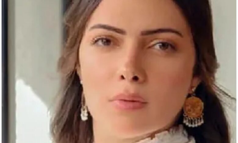 من هي وئام مجدي ، معلومات عامة عنها 1 من هي وئام مجدي ، معلومات عامة عنها