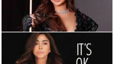 معلومات عن وثائقي إليسا "it's ok"