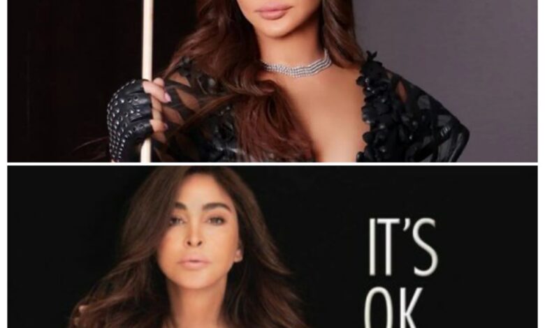 معلومات عن وثائقي إليسا "it's ok"