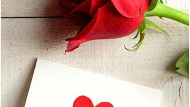أجمل رسائل عيد الحب 2024