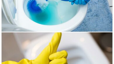 خلطات تنظيف كرسي الحمام بسهولة