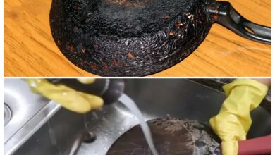 طريقة تنظيف مقلاة التيفال المحروقة