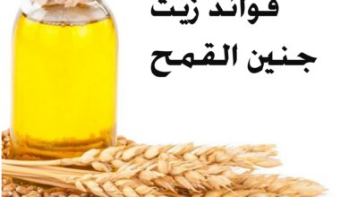 ماهي فوائد زيت جنين القمح 1 ماهي فوائد زيت جنين القمح