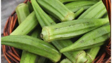 ماهي فوائد البامية