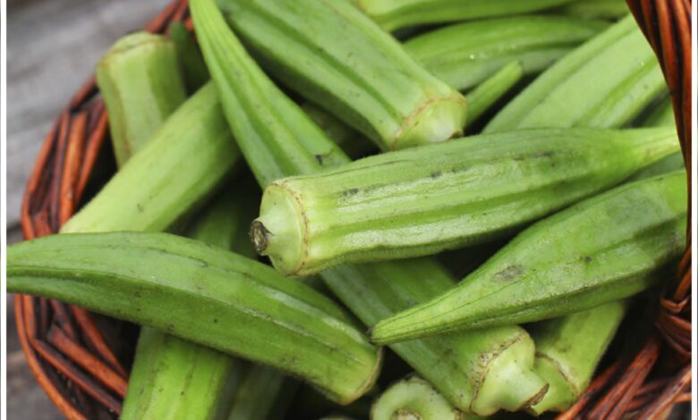 ماهي فوائد البامية