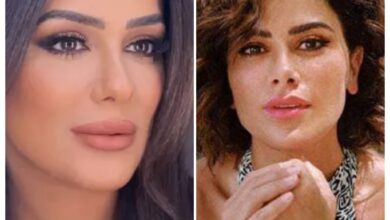 قصة مسلسل وتر حساس ، عدد حلقاته ، معلومات عنه