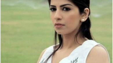 من هي أميرة هاني ، عمرها ، زواجها ، أعمالها