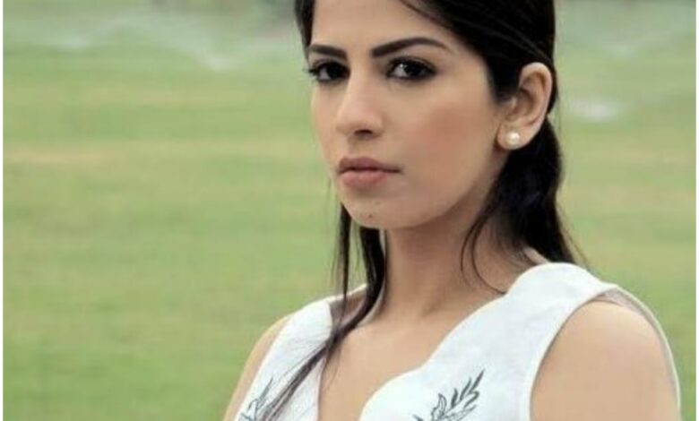 من هي أميرة هاني ، عمرها ، زواجها ، أعمالها