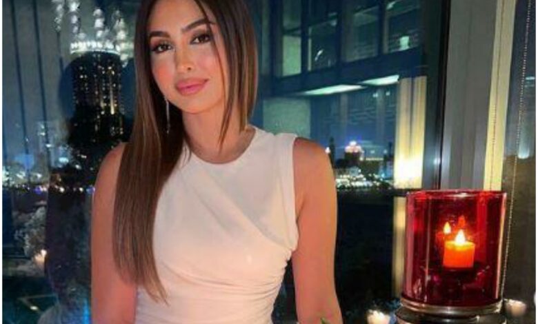 من هي نيكول سعفان ، زوجة طارق العريان ، عمرها ، معلومات عنها