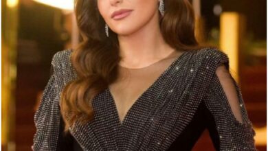 من هي عبير نعمة ، جنسيتها ، عمرها ، زواجها ، أعمالها