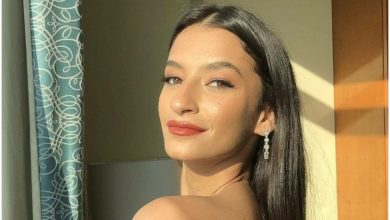 من هي أميرة أديب ، عمرها ، خطيبها ، والداها ، أعمالها