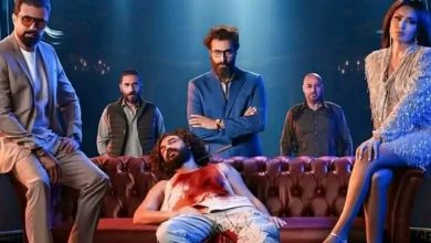 قصة مسلسل المهرج ، عدد حلقاته ، أبطاله ، معلومات عنه