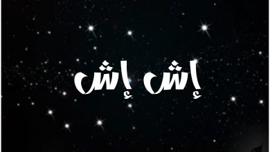 قصة مسلسل إش إش ، أبطاله ، معلومات عنه