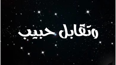 قصة مسلسل وتقابل حبيب ، أبطاله ، عدد حلقاته