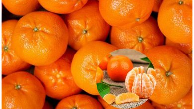 ماهي فوائد اليوسفي ، و هل فعلا يزيد من البول ؟ 20 ماهي فوائد اليوسفي ، و هل فعلا يزيد من البول ؟