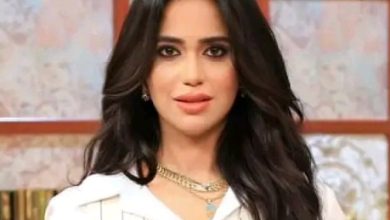 من هي مايا الشربيني ، عمرها ، زواجها ، معلومات عنها