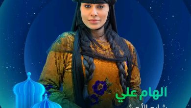 قصة مسلسل شارع الاعشى ، أبطاله ، عرضه