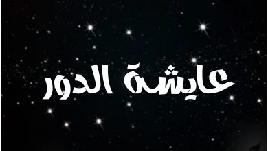 قصة مسلسل عايشة الدور ، أبطاله ، عرضه