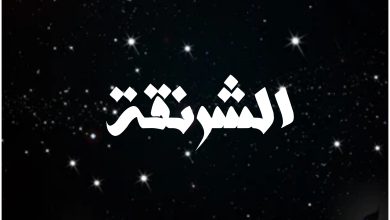قصة مسلسل الشرنقة ، أبطاله ، عرضه