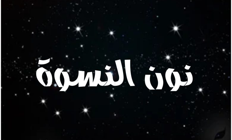 قصة مسلسل نون النسوة ، أبطاله ، عرضه