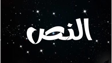 قصة مسلسل النص ، أبطاله ، عرضه 1 قصة مسلسل النص ، أبطاله ، عرضه