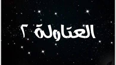 قصة مسلسل العتاولة2 ، أبطاله ، عدد حلقاته ، عرضه