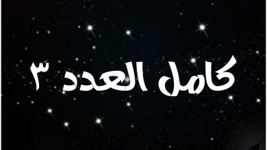 قصة مسلسل كامل العدد 3 ، أبطاله ، عرضه