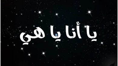 قصة مسلسل يا أنا يا هي ، عدد حلقاته ، عرضه ، أبطاله
