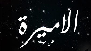 قصة مسلسل الاميرة ، أبطاله ، عرضه