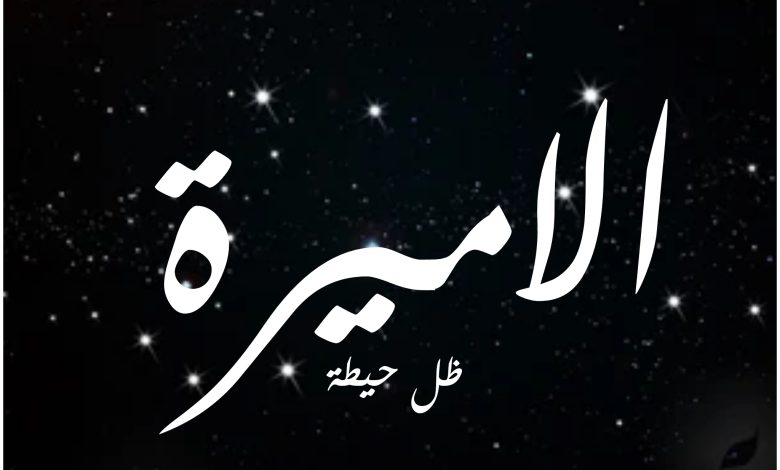 قصة مسلسل الاميرة ، أبطاله ، عرضه