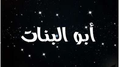 قصة مسلسل أبو البنات ، أبطاله ، عرضه