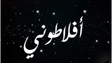 قصة مسلسل أفلاطوني ، أبطاله ، عرضه 1 قصة مسلسل أفلاطوني ، أبطاله ، عرضه