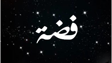 قصة مسلسل فضة ، أبطاله ، عرضه