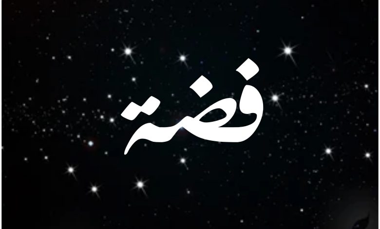 قصة مسلسل فضة ، أبطاله ، عرضه