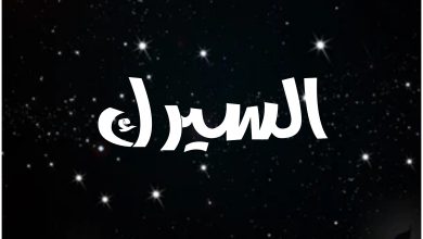 قصة مسلسل السيرك ، أبطاله ، عرضه