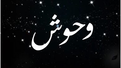 قصة مسلسل وحوش ، أبطاله ، عرضه