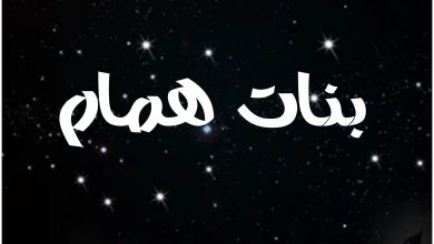 قصة مسلسل بنات همام ، أبطاله ، عرضه