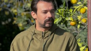 من هو درويش عبدالهادي ، عمره ، زوجته ، أعماله