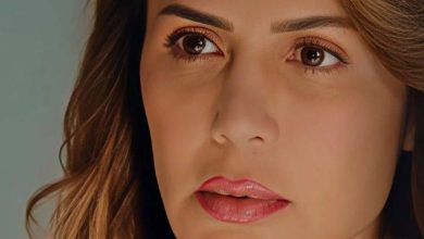 قصة مسلسل أزمة ثقة، عدد حلقاته، أبطاله، عرضه