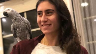 من هي نور الشربيني، عمرها، زوجها، إنجازاتها