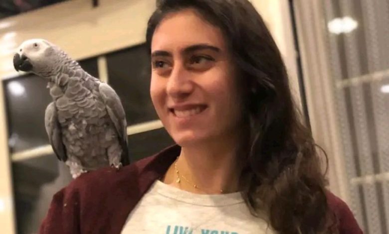 من هي نور الشربيني، عمرها، زوجها، إنجازاتها