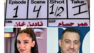 قصة مسلسل بنج كلي، عدد حلقاته، أبطاله، عرضه