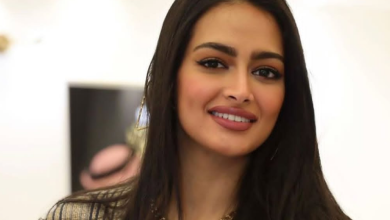 من هي فّي فؤاد، عمرها، زوجها، أعمالها